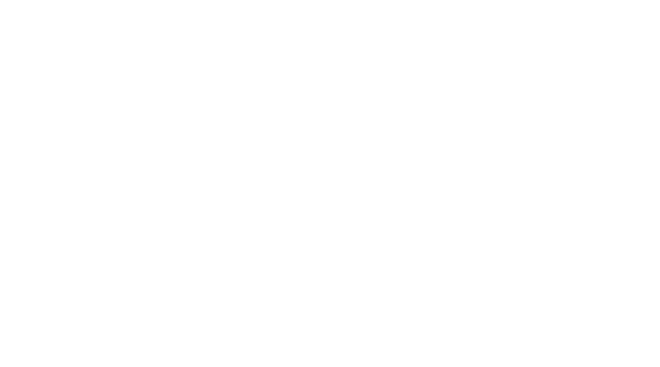 選挙：政策発信/投票依頼オートコールサービス